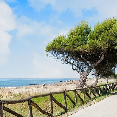 Апартаменты Near Shops And Бибионе