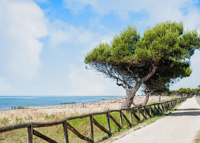 Апартаменты Near Shops And Бибионе